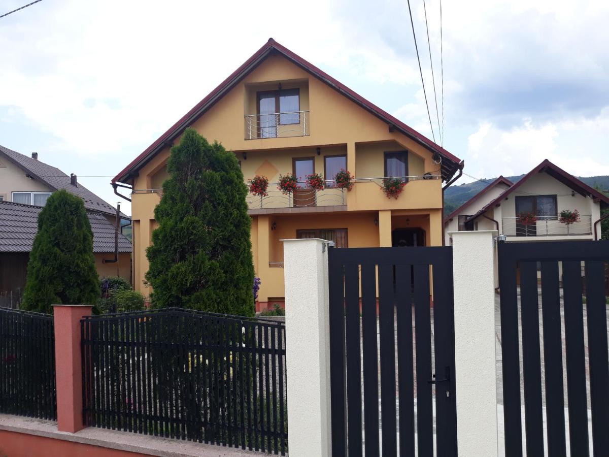 Pensiunea Popan Sieu  Exterior photo