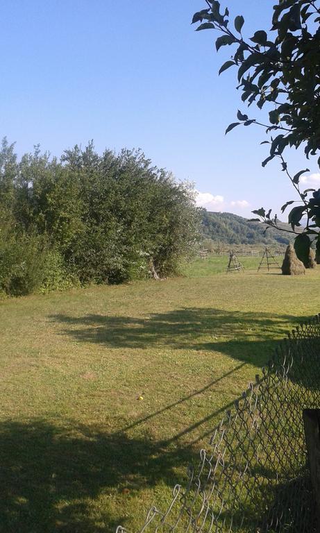 Pensiunea Popan Sieu  Exterior photo