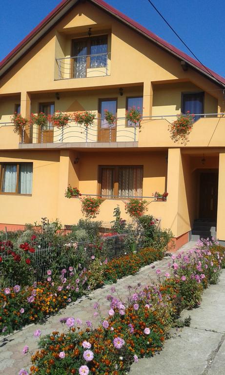 Pensiunea Popan Sieu  Exterior photo