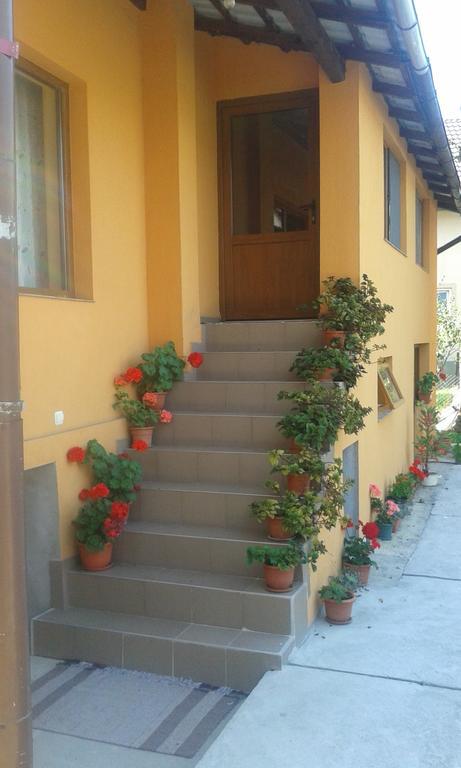 Pensiunea Popan Sieu  Exterior photo