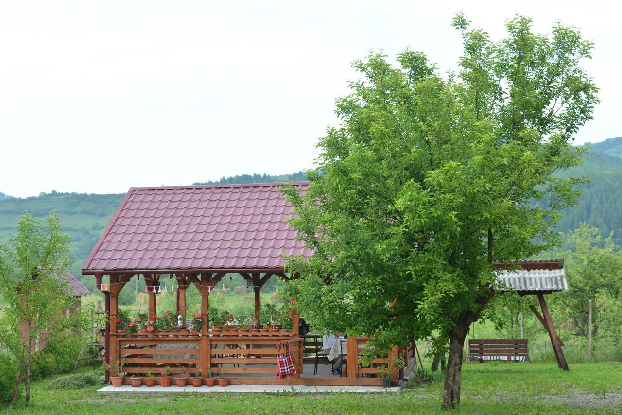 Pensiunea Popan Sieu  Exterior photo