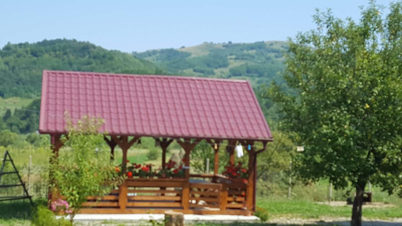 Pensiunea Popan Sieu  Exterior photo